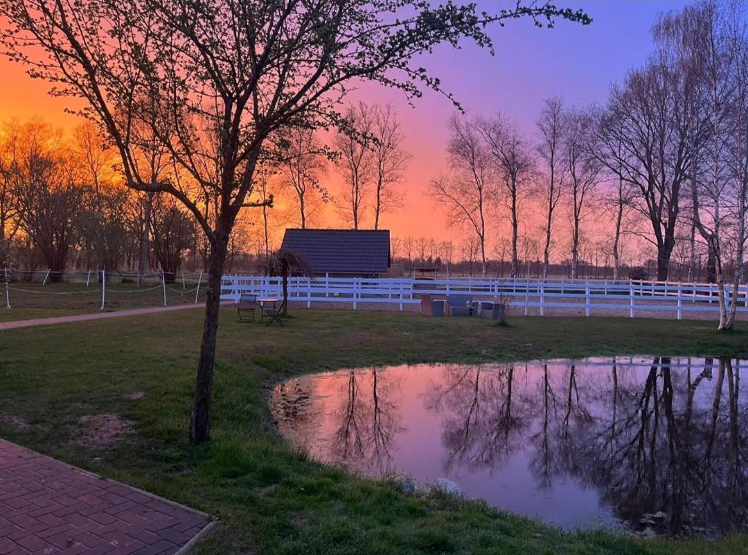 Tiny House Südliches Friesland-FRI Natur erleben Bockhorn  Exterior foto